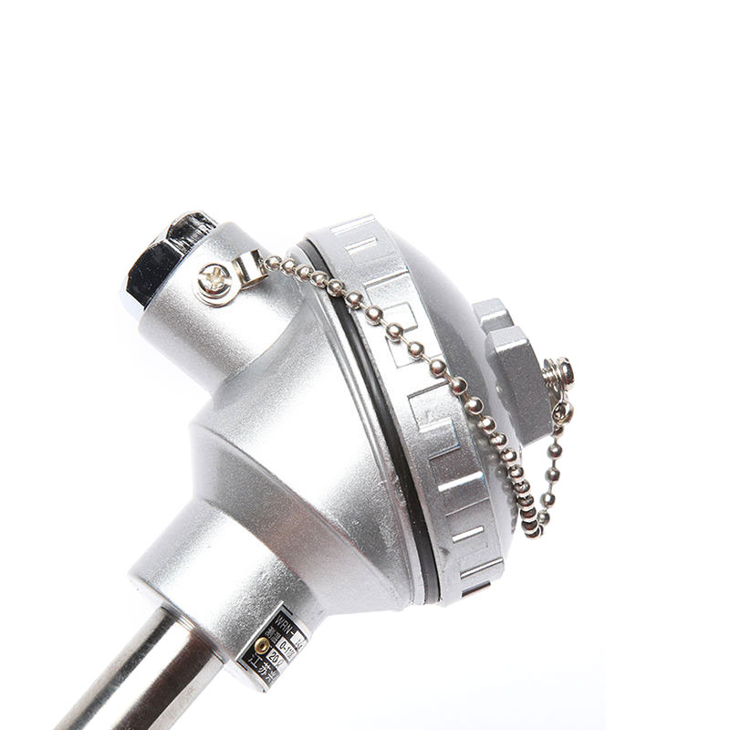 Diameter kawat 0,2–0,4 mm Tipe S/B/R probe sensor suhu tinggi tungku termokopel platinum-rhodium untuk logam cair