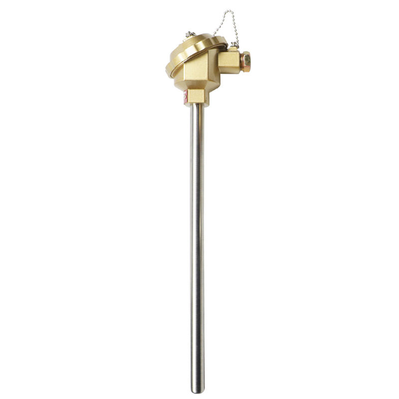 Termokopel tahan karat berinsulasi, tahan air, tahan aus, termokopel tipe K 1800 °C, PT100 termokopel probe tipe RTD