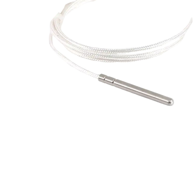 Sensor suhu RTD PT100 industri termistor platinum 3 kawat probe termokopel 50mm