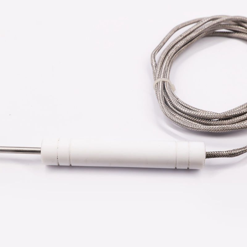 PT1000 PT100 NTC Sensor Suhu Probe Food Grade Termokopel Probe Baja Tahan Karat untuk Daging Barbekyu dan Oven