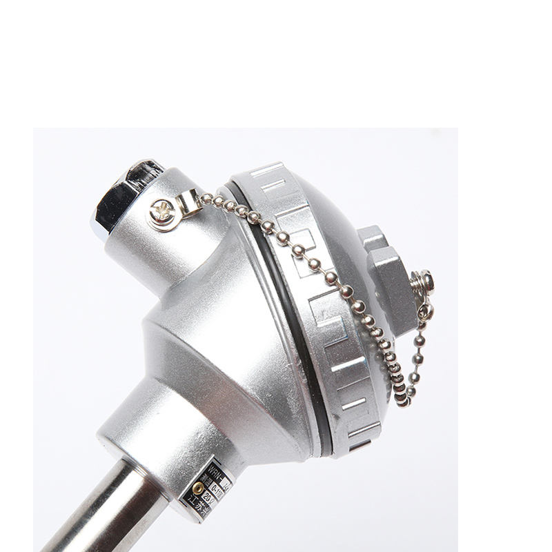 Diameter kawat 0,2–0,4 mm Tipe S/B/R probe sensor suhu tinggi tungku termokopel platinum-rhodium untuk logam cair